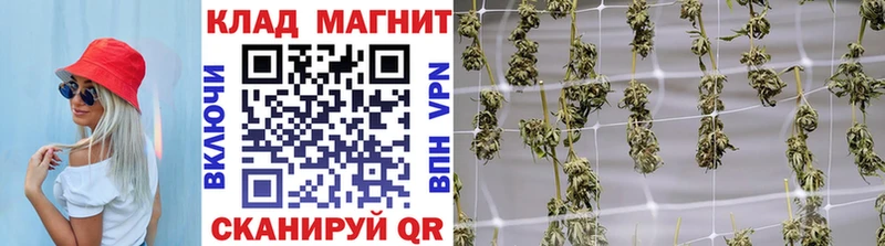 Где найти наркотики Новый Уренгой Марихуана Кокаин Псилоцибиновые грибы Гашиш Alpha-PVP