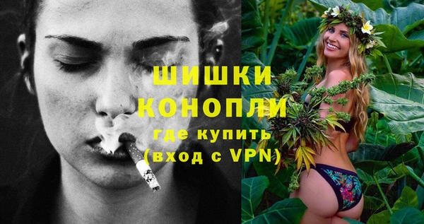 PSILOCYBIN Богданович