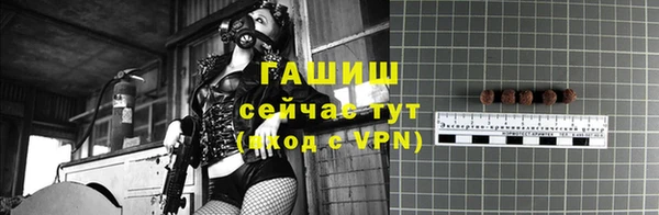 PSILOCYBIN Богородицк