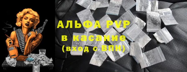 PSILOCYBIN Богданович