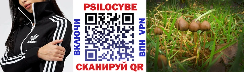 Галлюциногенные грибы Magic Shrooms  сколько стоит  Новый Уренгой 